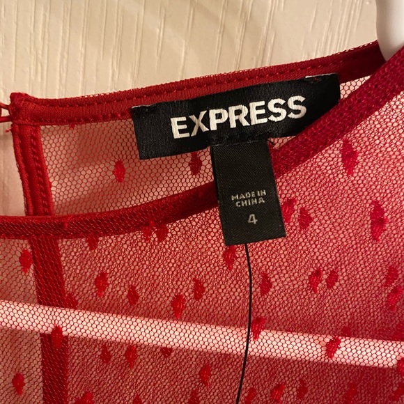 Express Lace Fit & Flare Dress - Picture 9 of 9